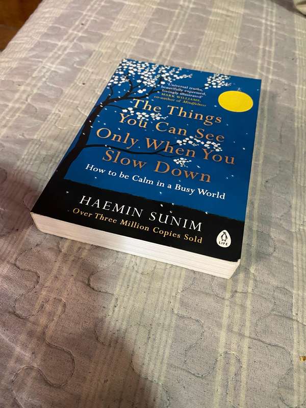 The Things You Can See Only When You Slow Down by Haemin Sunim