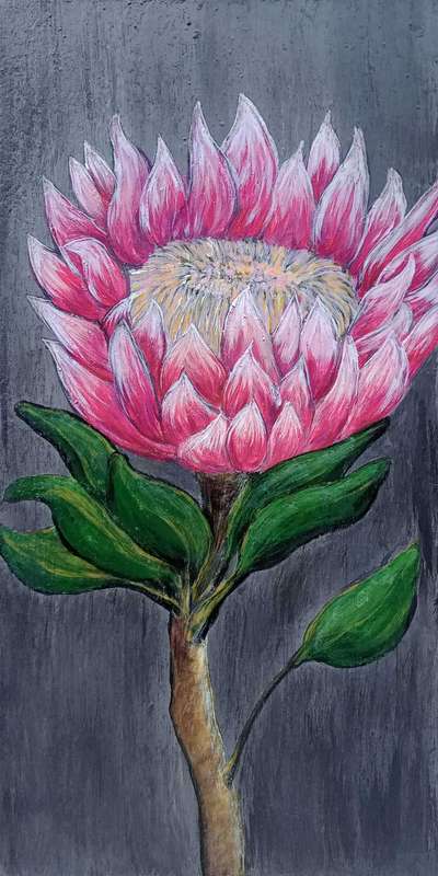Original Acrylic paintings "Set of  4 small protea paintings "
