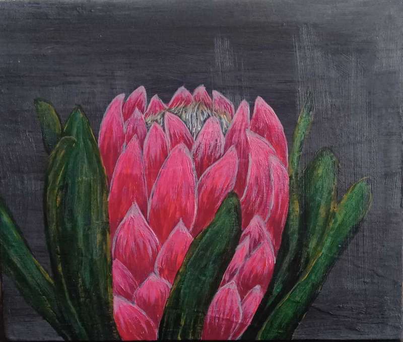 Original Acrylic paintings "Set of  4 small protea paintings "