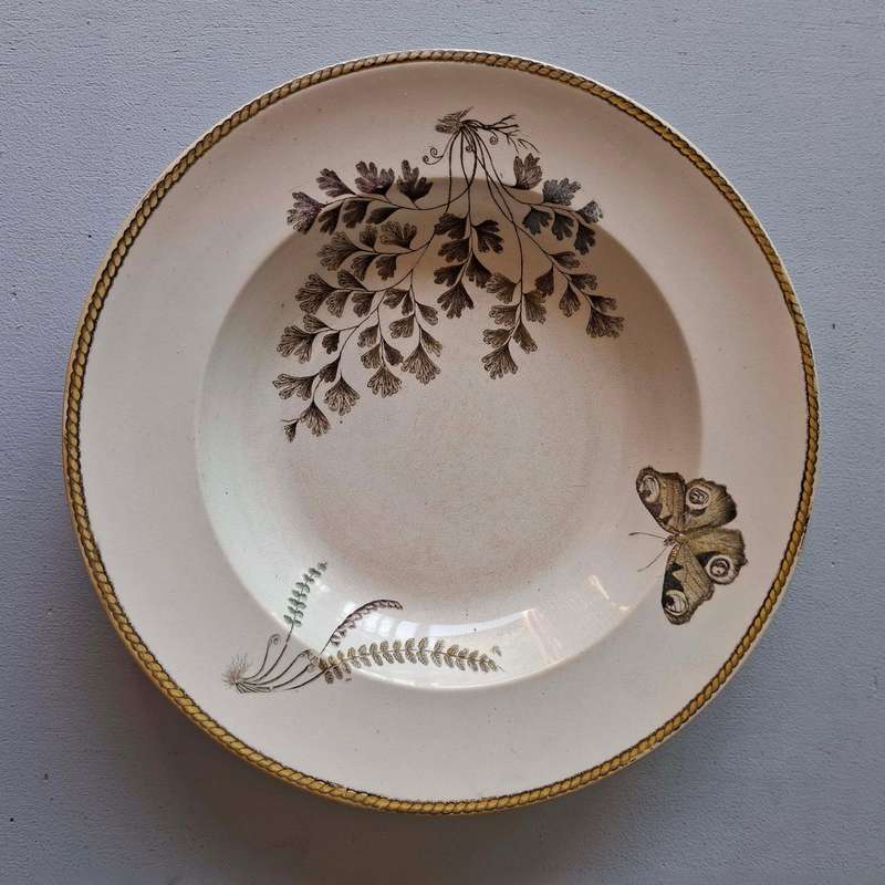Four Rare Vintage Wedgwood Botanical Bowls