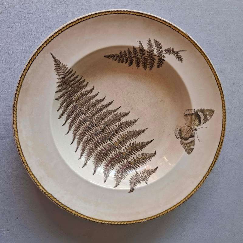 Four Rare Vintage Wedgwood Botanical Bowls