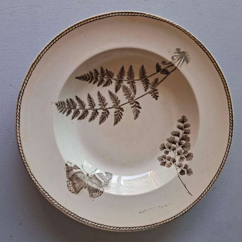 Four Rare Vintage Wedgwood Botanical Bowls