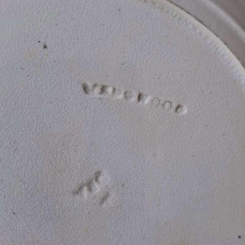 Four Rare Vintage Wedgwood Botanical Bowls