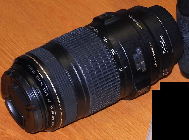 Canon EF 70-300mm IS USM Lens