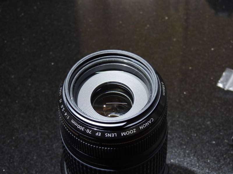 Canon EF 70-300mm IS USM Lens