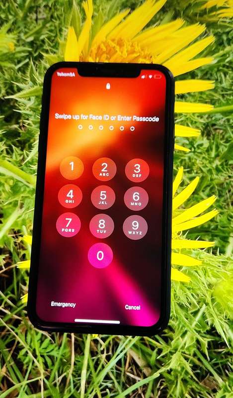 iPhone XR