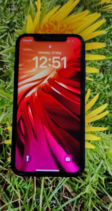 iPhone XR