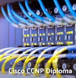 Cisco CCNP Implementing Cisco IP Switched Networks (Switch) v2.0 Training Diploma