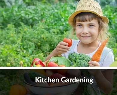 Kitchen Gardening
