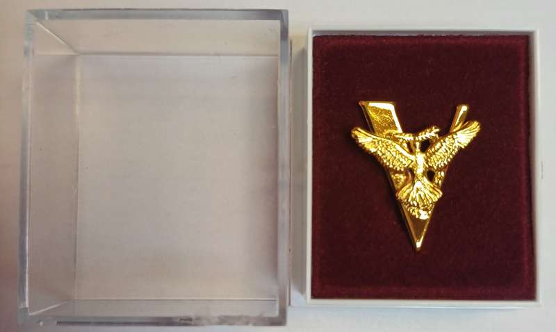 WW2 VICTORY LAPEL BADGE (HONOURABLE SERVICE LAPEL BUTTON) + BOX