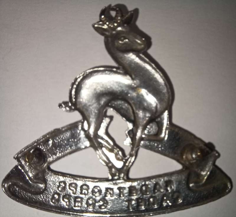 SADF- CADET CORPS BERET BADGE