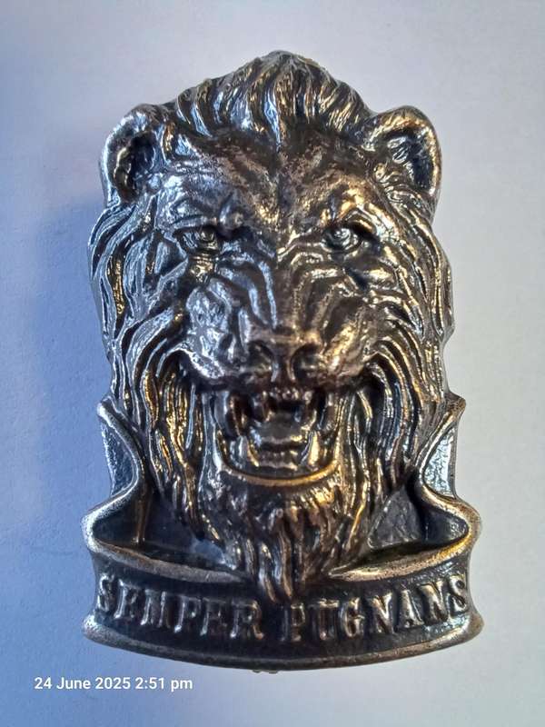 S.W.A. TERRITORIAL REACTION FORCE CAP BADGE - PINS INTACT