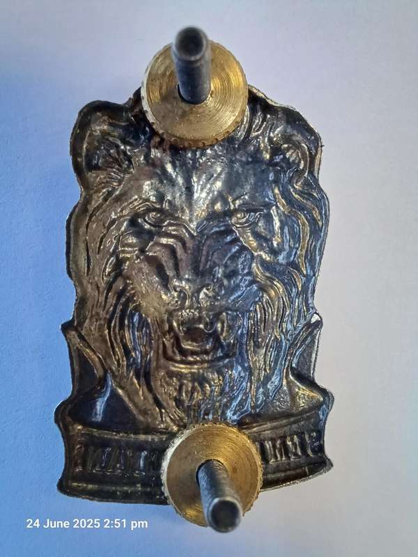 S.W.A. TERRITORIAL REACTION FORCE CAP BADGE - PINS INTACT