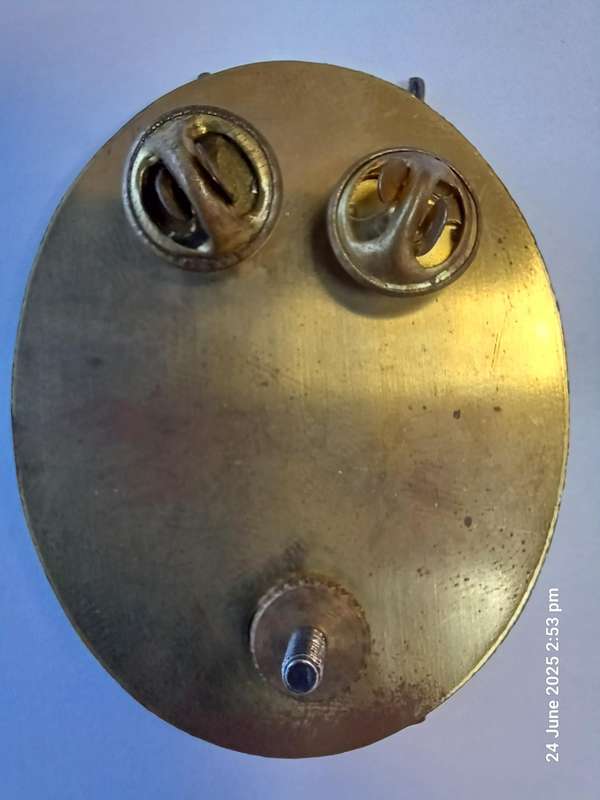 S.W.A. TERRITORIAL FORCE HQ CAP BADGE & BACKING PLATE - PINS INTACT
