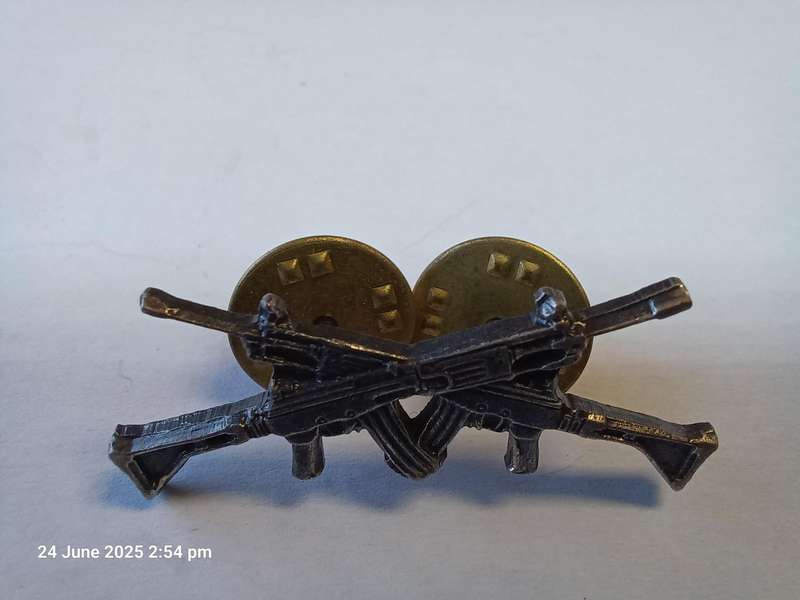 S.W.A. TERRITORIAL FORCE 2'ND CLASS MARKSMAN BADGE - PINS INTACT