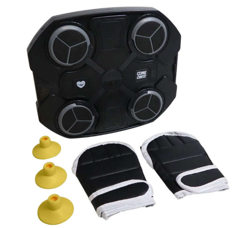 HURRIAJ Musical Boxing Wall Pad - LED Targets with Gloves Included
