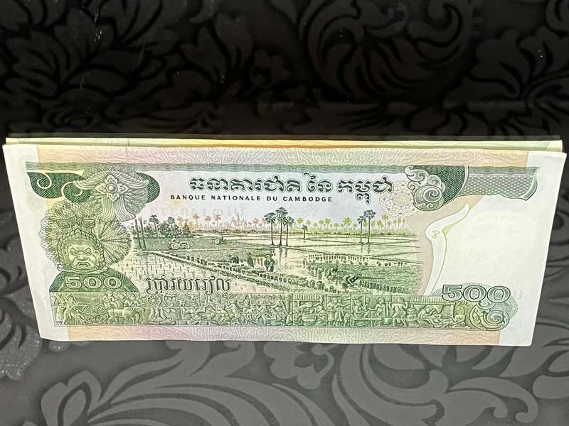 Cambodia 500 Riel Banknote  Uncirculated | Woman with Jar & Rice Field Scene