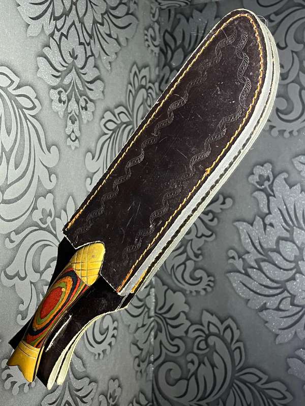 Rare Dragon Claw Fantasy Knife  Curved Blade with Colorful Handle | Knife Collector's Piece!