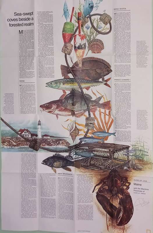 1975 Folded Map of  MAINE U.S.A Published By National Geographic 57x89cm