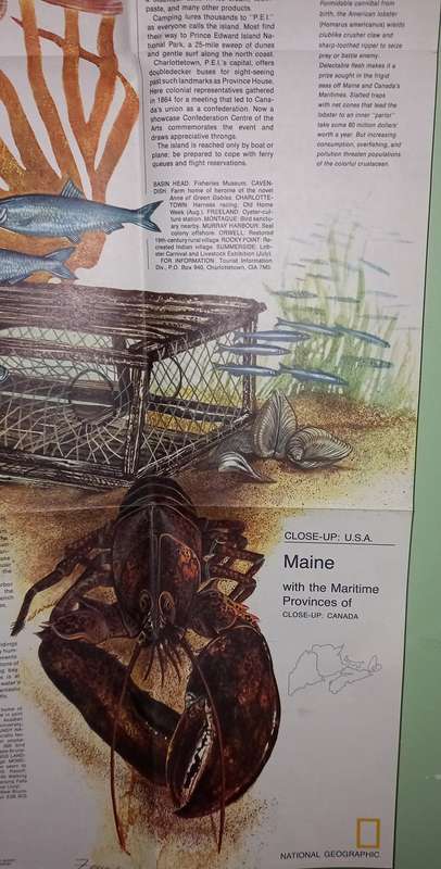 1975 Folded Map of  MAINE U.S.A Published By National Geographic 57x89cm