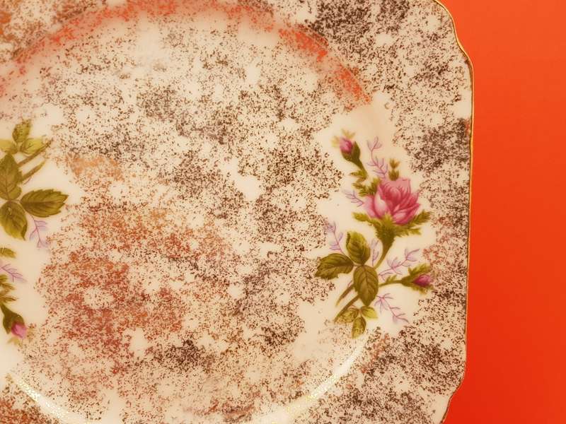 Vintage STRATHMORE Fine China Hand Painted Plate No 6063 - England (4 Available)