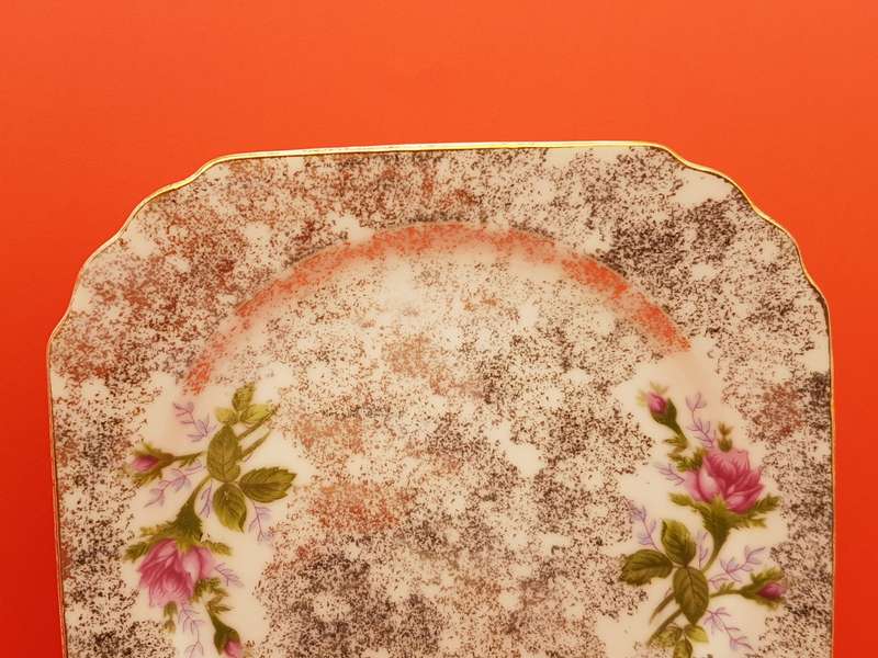 Vintage STRATHMORE Fine China Hand Painted Plate No 6063 - England (4 Available)