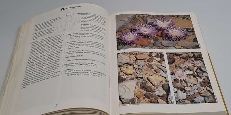 Pre-Owned : Mesembs of the World Illustrated Guide to a Remarkable Succulent Group-1st edition 1998