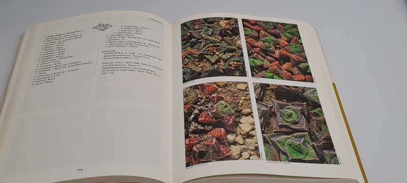 Pre-Owned : Mesembs of the World Illustrated Guide to a Remarkable Succulent Group-1st edition 1998