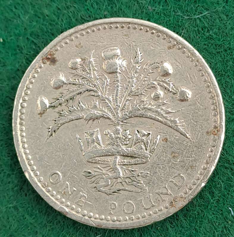 1989  United Kingdom 1 Pound - Elizabeth II 3rd portrait,Scottish Thistle