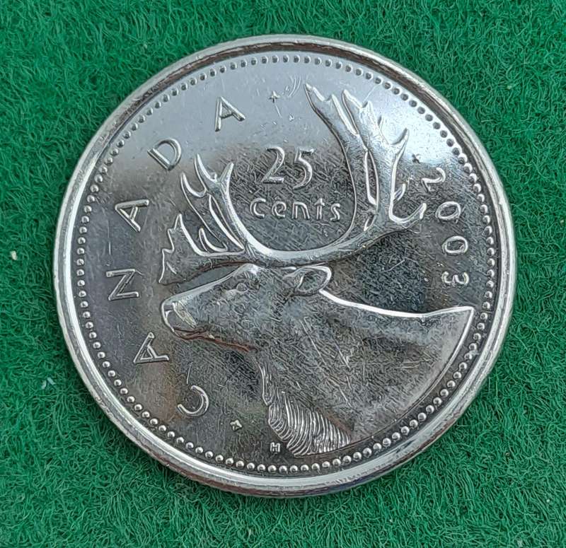 2003 Canada 25 Cents - Elizabeth II 3rd portrait, plated