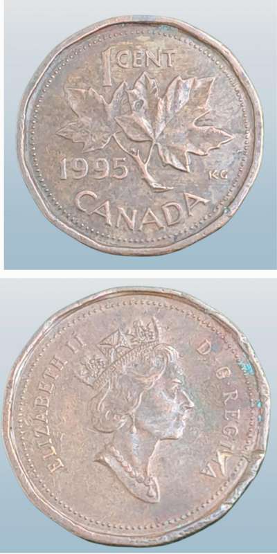 1995 Canada  1 Cent - Elizabeth II 3rd portrait, 12 sided