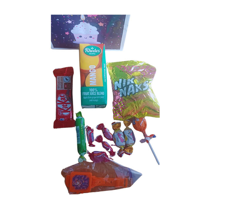 12 Kids Birthday Party Packs in Gift Bags  Ready-Made Goodie Bags for Fun & Celebration!
