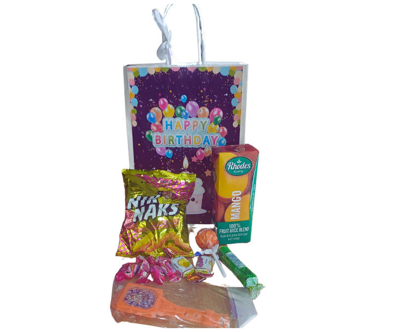 12 Kids Birthday Party Packs in Gift Bags  Ready-Made Goodie Bags for Fun & Celebration!