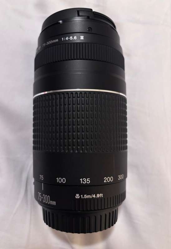 Canon 250D  with double lens kit and camera bag