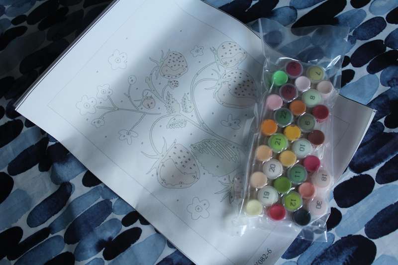Paint-By-Numbers Kit - Fruitful