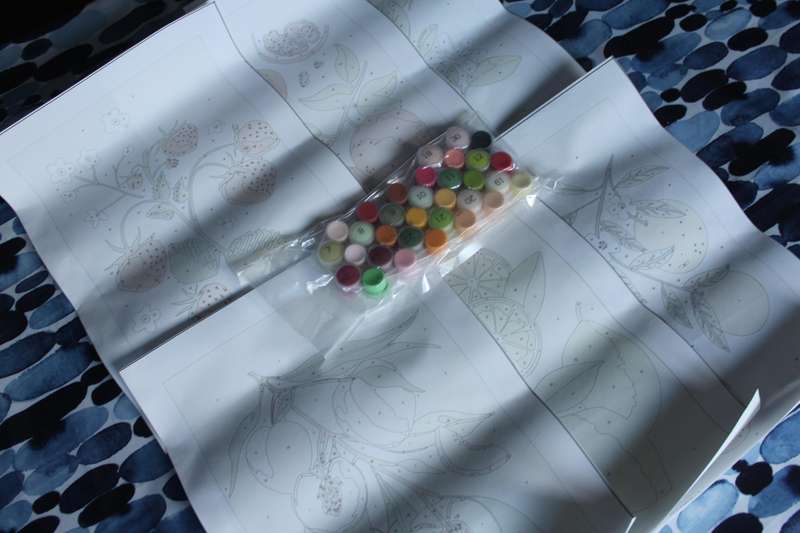 Paint-By-Numbers Kit - Fruitful