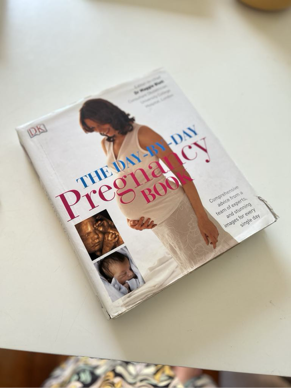 The Pregnancy Book