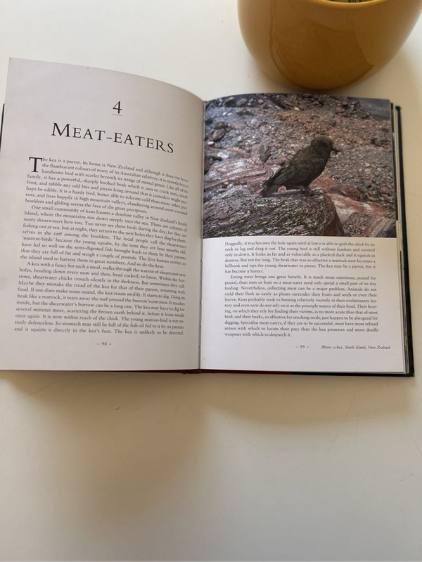The Life of Birds by David Attenborough