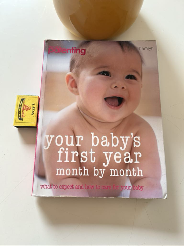 Your babys first year month by month