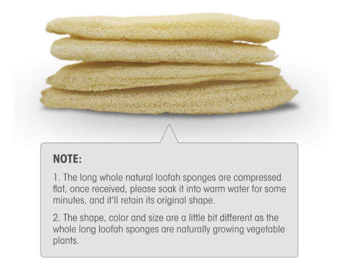 Natural Organic Loofah Sponges (4Pcs)