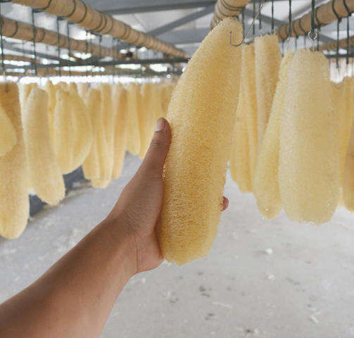 Natural Organic Loofah Sponges (4Pcs)