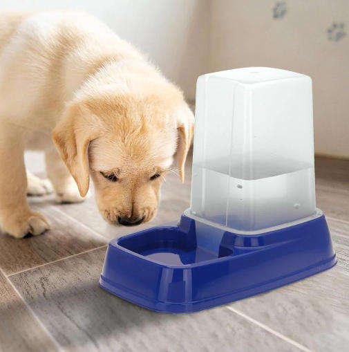 Animal Dispenser for Water or Food
