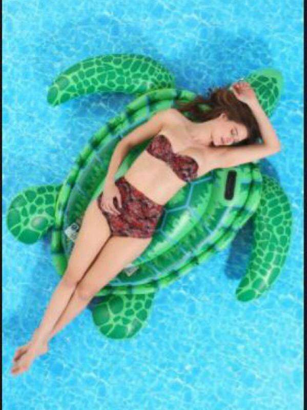 Pool Turtle Float