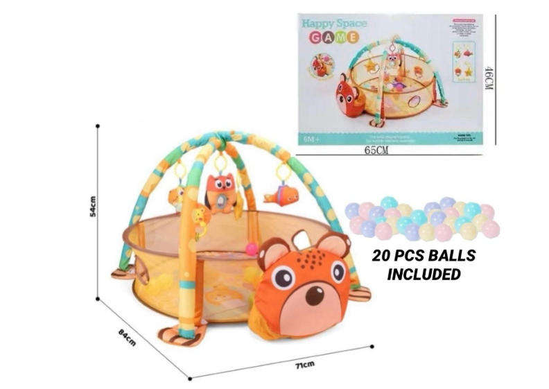 Happy Space Baby Play Gym with Balls