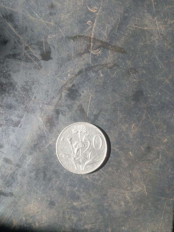 1966 suid Afrikaans 1966 Nickel 50 cents