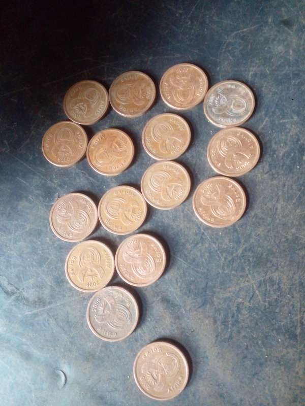 5 cents pure copper 2006 x16 coins