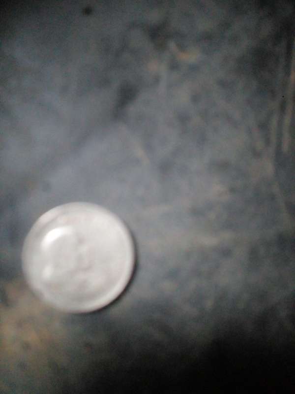 20 cents 1965 south africa