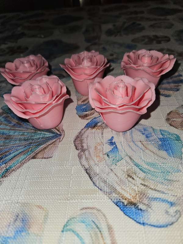 5 Decorative roses
