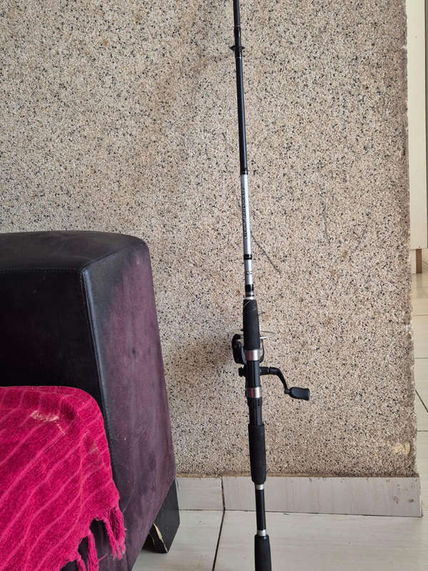 Fishing rod