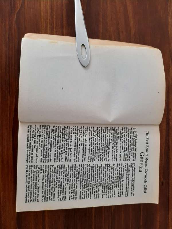 Amplified Bible